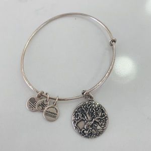 Alex n Ani